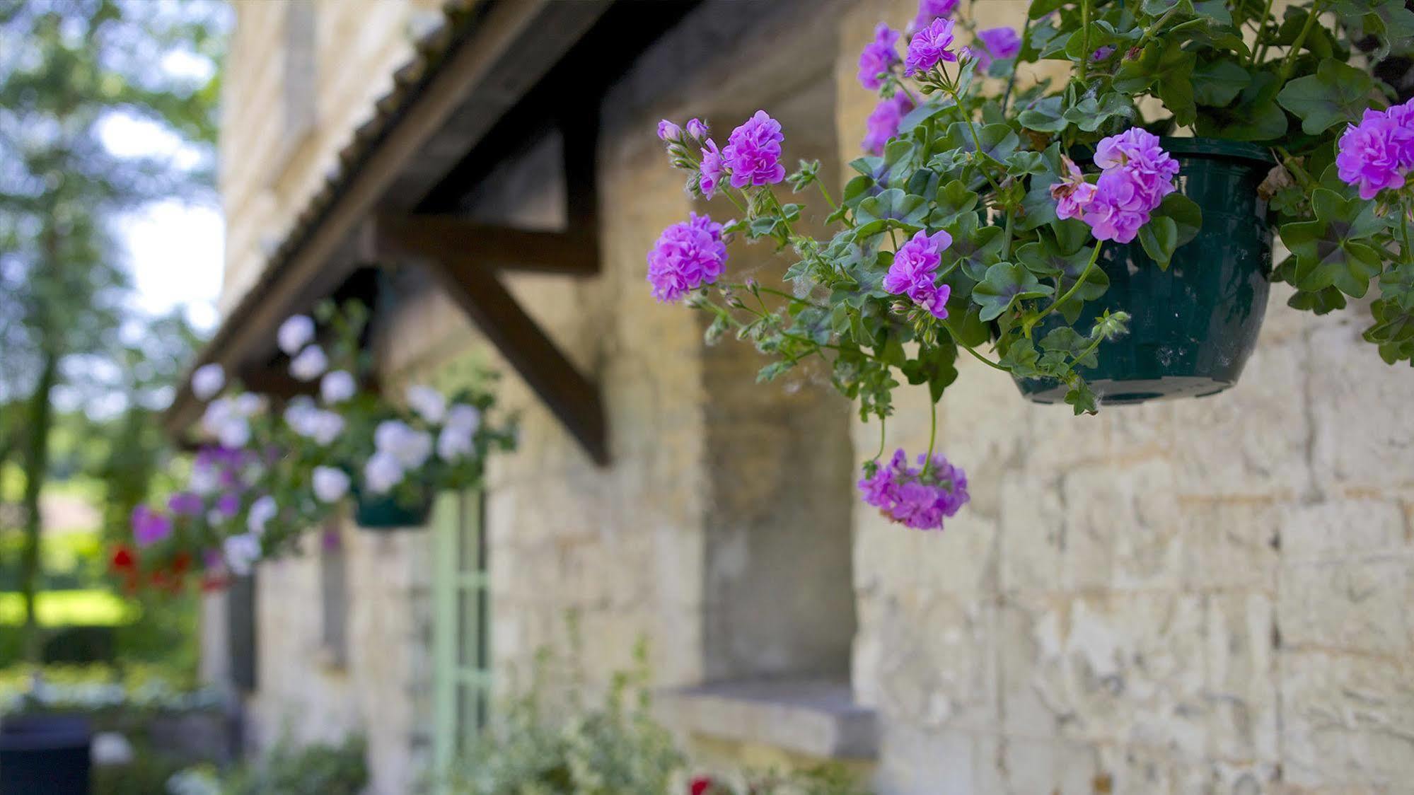 Hotel Moulin De Mombreux Lumbres Zewnętrze zdjęcie